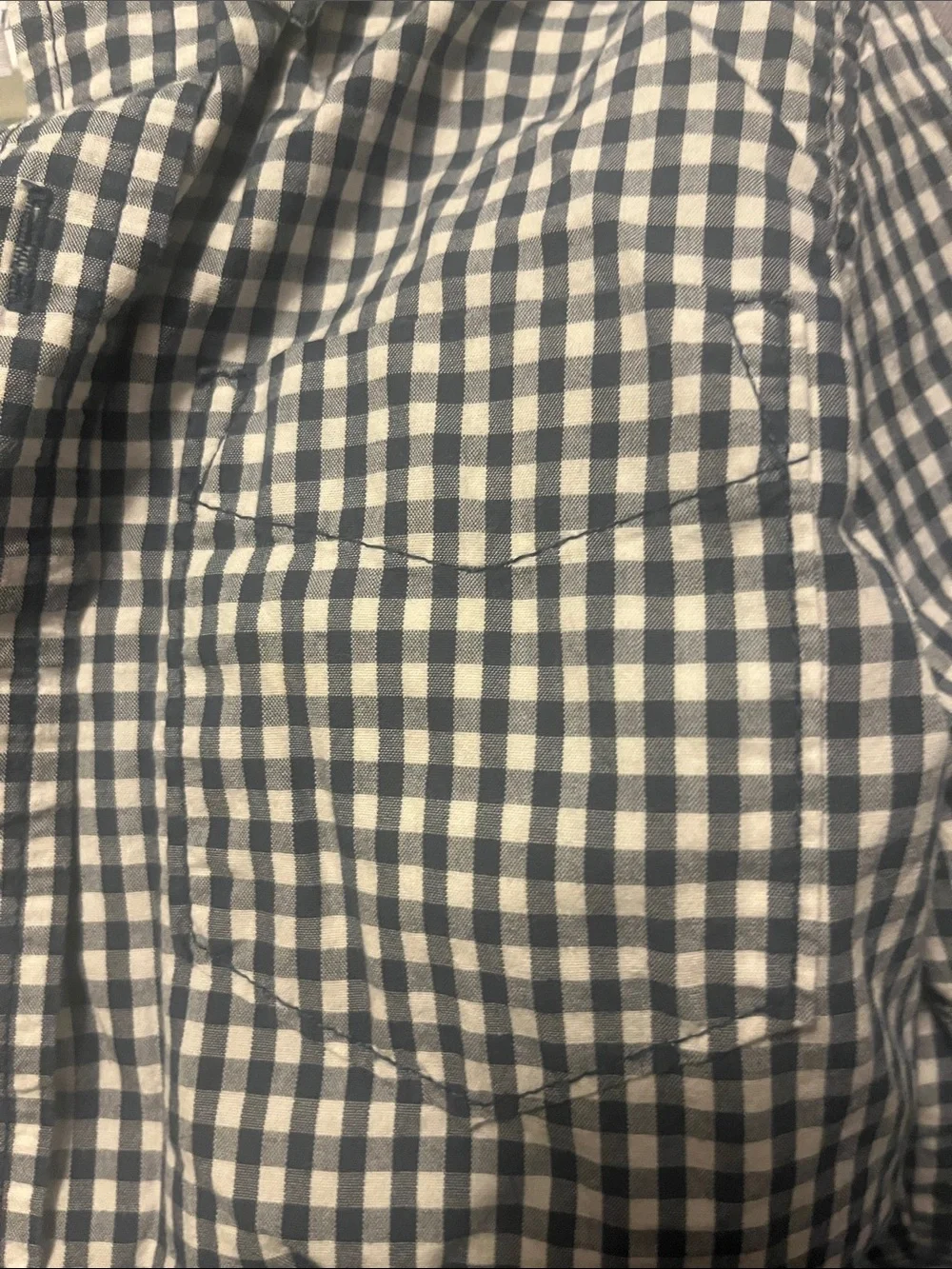 GAP Boys Navy & White Gingham Button-Down Shirt - Classic Plaid